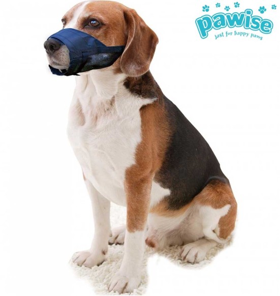 Nailonist suukorvid koertele S2–S5 (Doogy)