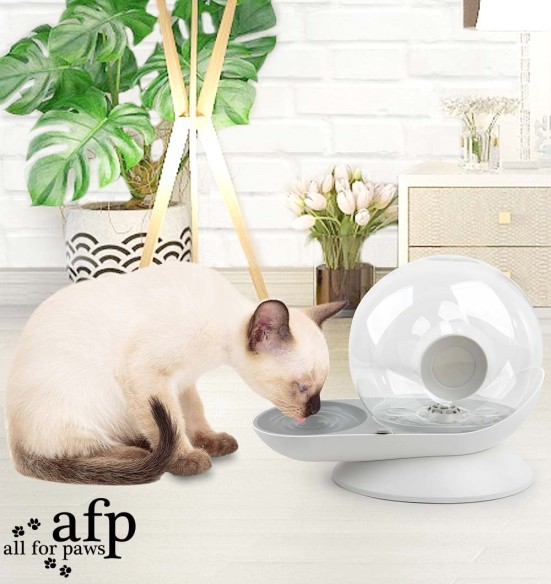 Jooginõu lemmikloomale Snail Water Feeder (AFP - Lifestyle 4 Pets)