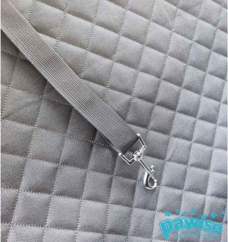 Istmekate-pesa auto esiistmele CarSeat Cover / Booster (Pawise)