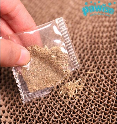 Kassi kraapimisalus, kartongist võrkkiik Cat Hammock Scratching 2 in 1 (AFP - Catoon)