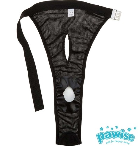 Püksid koertele jooksuajaks, erinevad suurused (Pawise)