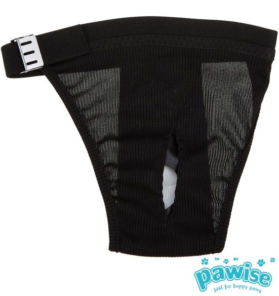 Püksid koertele jooksuajaks, erinevad suurused (Pawise)