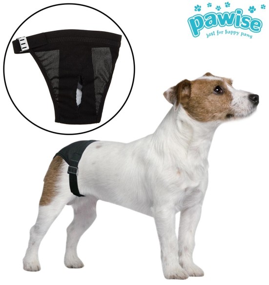 Püksid koertele jooksuajaks, erinevad suurused (Pawise)