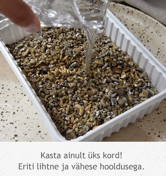 Kassimuru seemnesegu kasvusubstraadis, eriti pehme ja kergesti seeditav muru Soft-Gras (GimCat) Kassimuru seemnesegu kasvusubstraadis, eriti pehme ja kergesti seeditav muru Soft-Gras (GimCat)