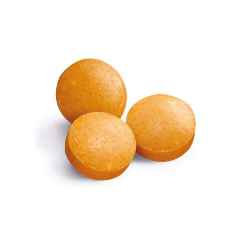 Tabletikujuline maius kassile, immuunsüsteemi toetav multivitamiin Every Day Multi-Vitamin Tabs (GimCat)