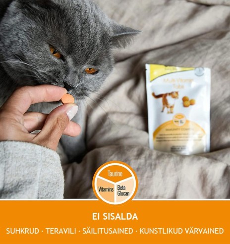 Tabletikujuline maius kassile, immuunsüsteemi toetav multivitamiin Every Day Multi-Vitamin Tabs (GimCat)