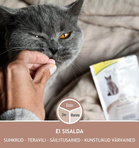 Tabletikujuline maius kassile, naha ja karvastiku tervist toetav Every Day Skin & Coat Tabs (GimCat)