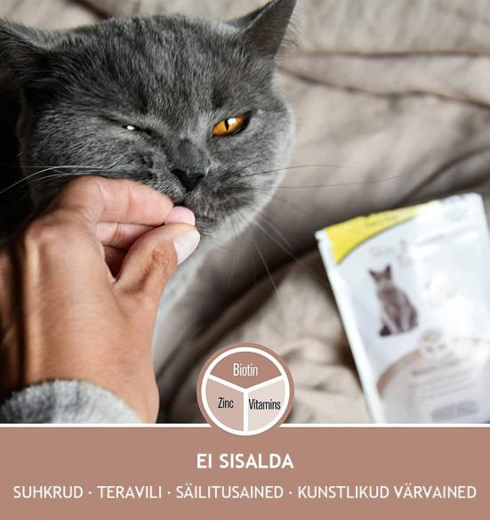 Tabletikujuline maius kassile, naha ja karvastiku tervist toetav Every Day Skin & Coat Tabs (GimCat)