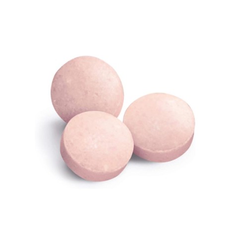 Tabletikujuline maius kassile, naha ja karvastiku tervist toetav Every Day Skin & Coat Tabs (GimCat)