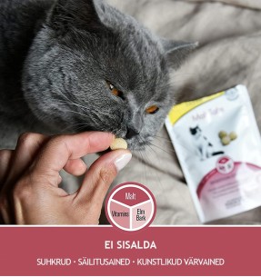 Tabletikujuline maius kassipojale, kasvamist toetav Every Day Kitten Tabs (GimCat)–Toidulisandid–GimCat–Valgekihv 2