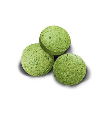 Gras Bits maius kassile maitsva muruga (GimCat)