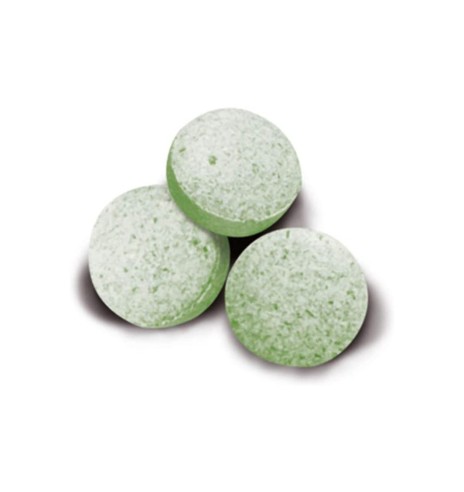 Mint Tips лакомство для кошек с кошачьей мятой (GimCat)