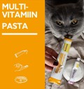 Multivitamiini pasta kassile, immuunsüsteemi toetav Multi-Vitamin - Daily Immune Support - Professional Line (GimCat)