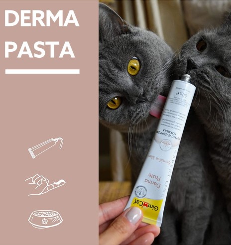 Derma pasta kassile, naha ja karvastiku tervist toetav Derma Paste Expert LIne (GimCat)