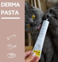 Derma pasta kassile, naha ja karvastiku tervist toetav Derma Paste Expert LIne (GimCat)