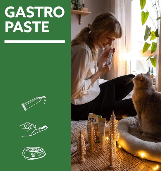 Паста для поддержки пищеварения у кошек Gastro Intestinal Paste Expert LIne (GimCat)