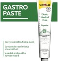 Seedesüsteemi toetav pasta kassile Gastro Intestinal Paste Expert LIne (GimCat)