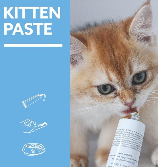 Паста для поддержания роста котят Kitten Paste Expert LIne (GimCat)