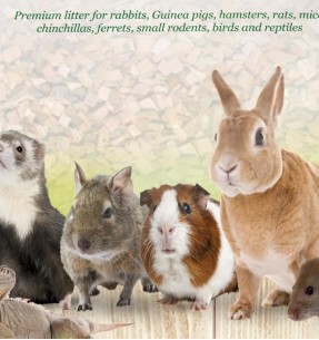 Big Stick лакомая палочка с семенами фенхеля, для кроликов и мелких грызунов, 70 g (Gimbi) – Toidud – Gimbi – Valgekihv 2