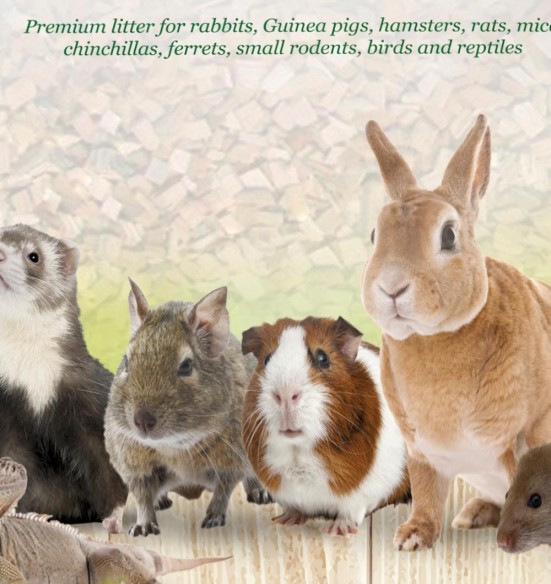 Наполнитель древесный осиновый для грызунов, птиц и рептилий (Gimbi)