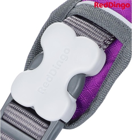 Traksid koerale vooderdatud Padded Harness Purple (Red Dingo)