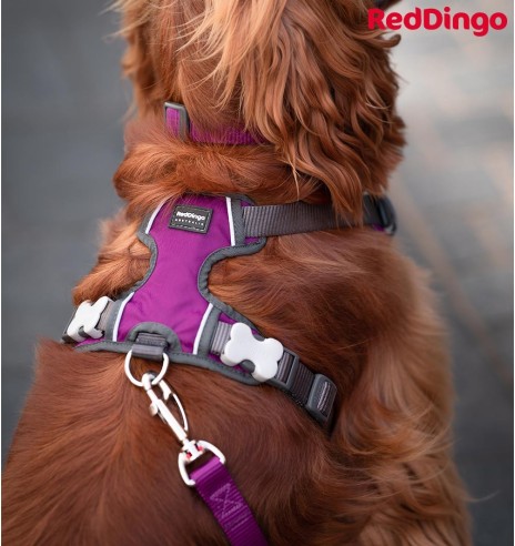 Шлейка с мягкой подкладкой для собак Padded Harness Purple (Red Dingo)