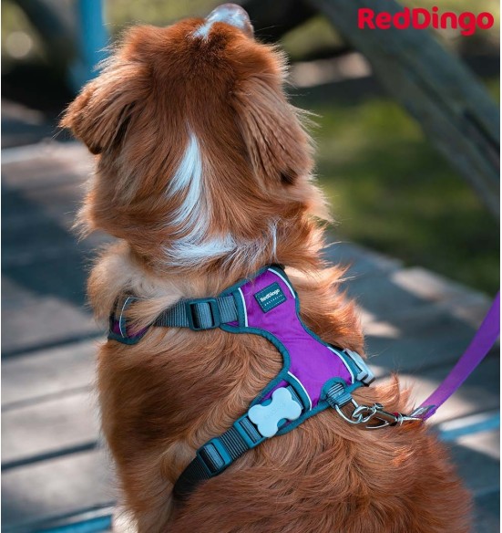 Traksid koerale vooderdatud Padded Harness Purple (Red Dingo) Traksid koerale vooderdatud Padded Harness Purple (Red Dingo)