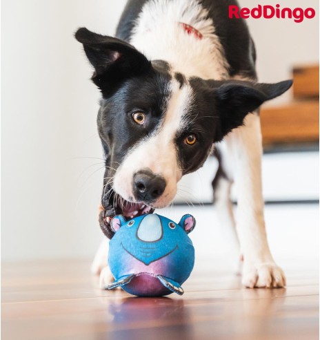 Eriti vastupidav pall-mänguasi koerale NINASARVIK Riley the Rhino Durable (Red Dingo)