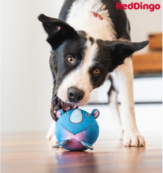 Eriti vastupidav pall-mänguasi koerale NINASARVIK Riley the Rhino Durable (Red Dingo)