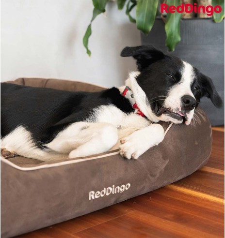 Pesa koerale, šokolaadipruun Donut Bed (Red Dingo)