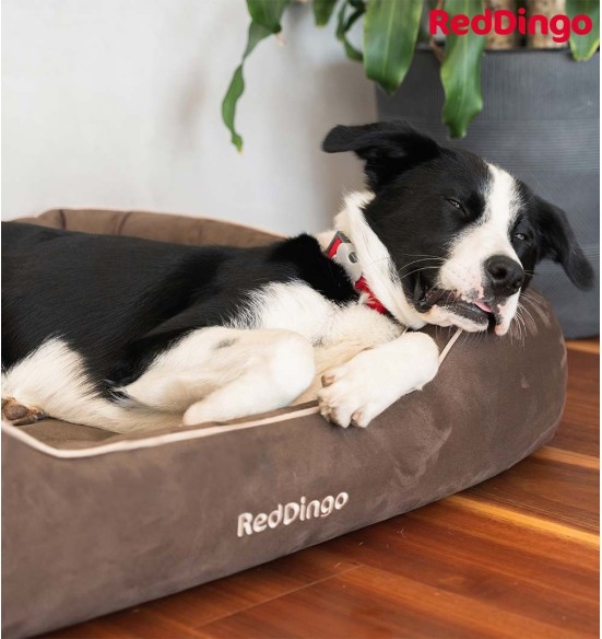 Pesa koerale, šokolaadipruun Donut Bed (Red Dingo)