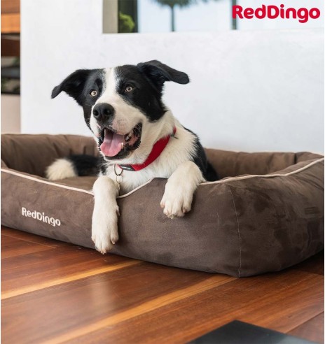 Pesa koerale, šokolaadipruun Donut Bed (Red Dingo)