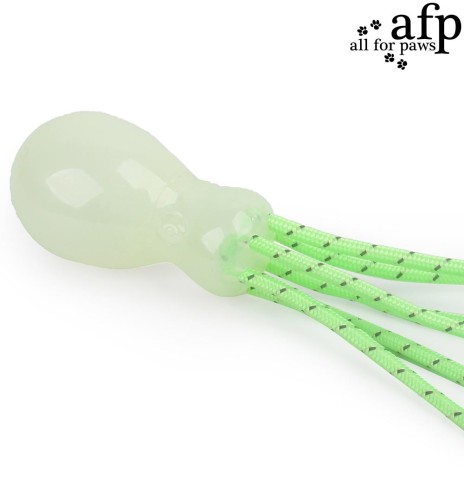 Pimedas helendav mänguasi koerale Glowing Octopus (AFP - K-Nite)