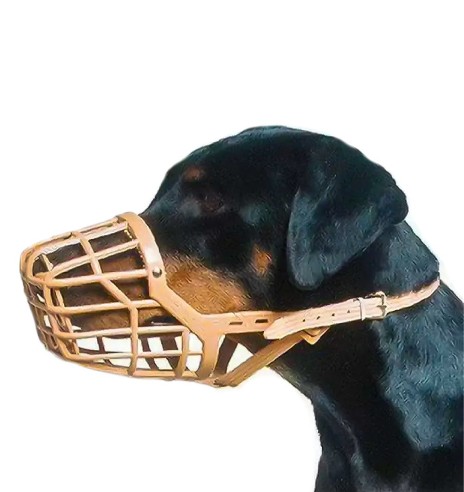 Suukorv koertele plastikust (GimDog)