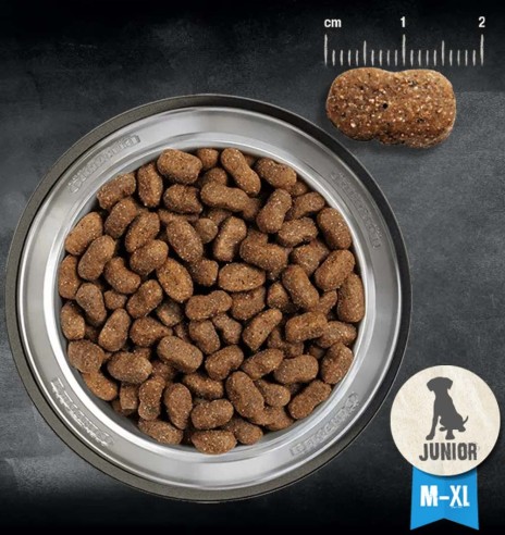 BELCANDO kuivtoit juunior-kutsikale, teraviljavaba, kodulinnulihaga (JUNIOR GF POULTRY)