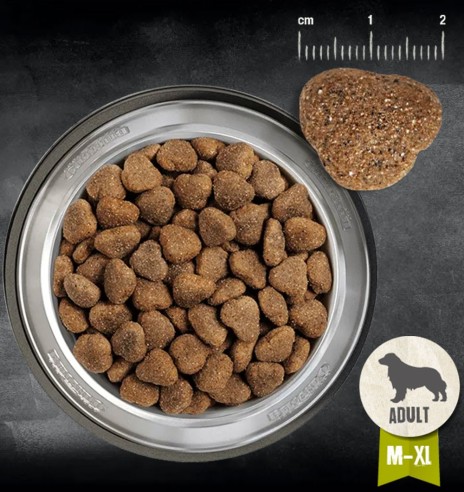 BELCANDO teraviljavaba kuivtoit koerale, kodulinnulihaga ( ADULT GF POULTRY)