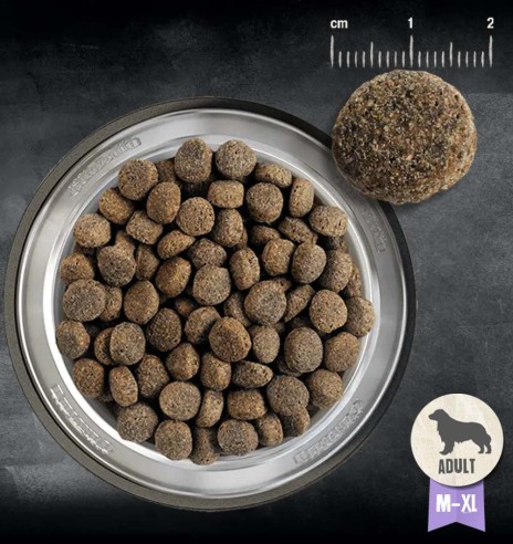 BELCANDO kuivtoit eakale koerale, kodulinnulihaga SENIOR SENSITIV