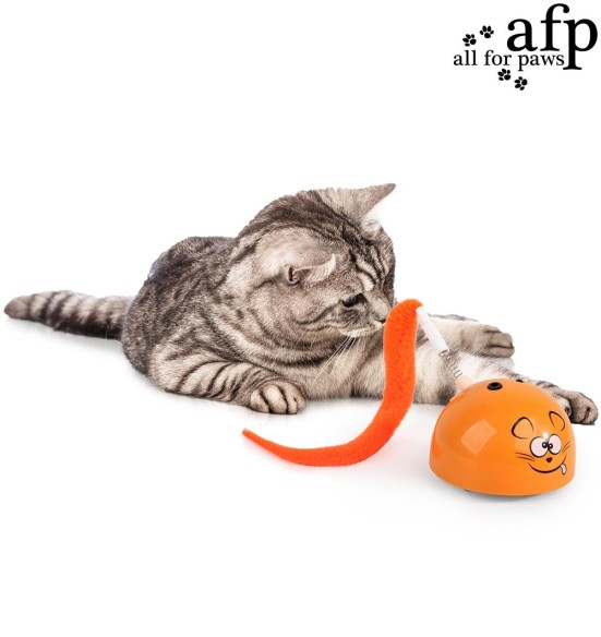 Mänguasi kassile Mad Mouse (AFP - Modern Cat)