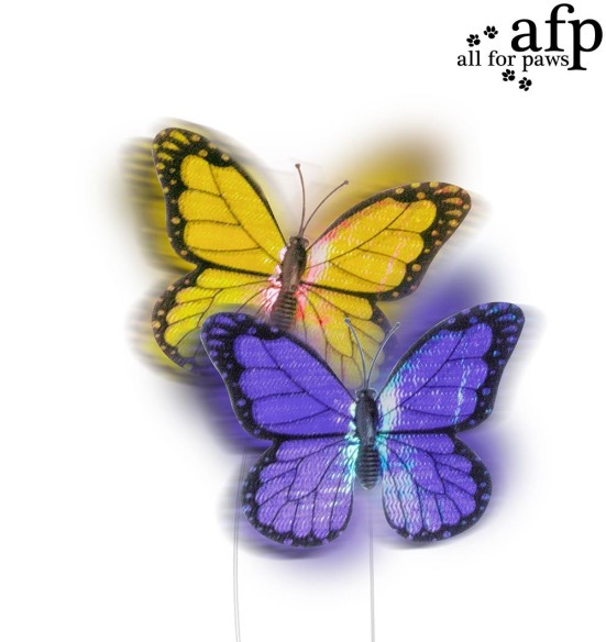 Interaktiivne mänguasi kassile Roll Around Flutter Bug (AFP)