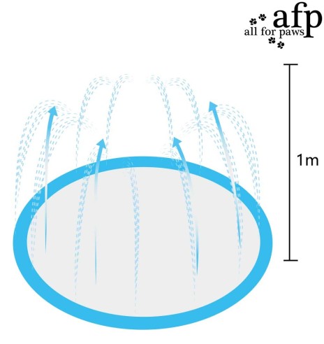 Vihmutiga matt koerale aias kasutamiseks (AFP - Chill Out)
