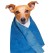 Superimav rätik, koera jahutamiseks või kuivatamiseks (Ideal Dog)
