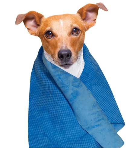 Супервпитывающее полотенце с охлаждающим эффектом (Ideal Dog)