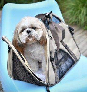 Сумка для транспортировки собак (AFP Travel Dog) – Kandekotid – AFP - All For Paws – Valgekihv 2