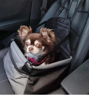 Koera auto iste, turvatool õhkpadjaga autosse (AFP - Travel Dog)–Koera pesad autosse–AFP - All For Paws–Valgekihv 2