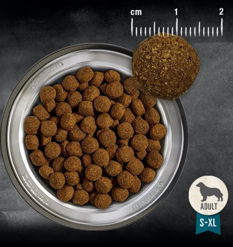 BELCANDO BASELINE FISHER kuivtoit koerale, kalaga