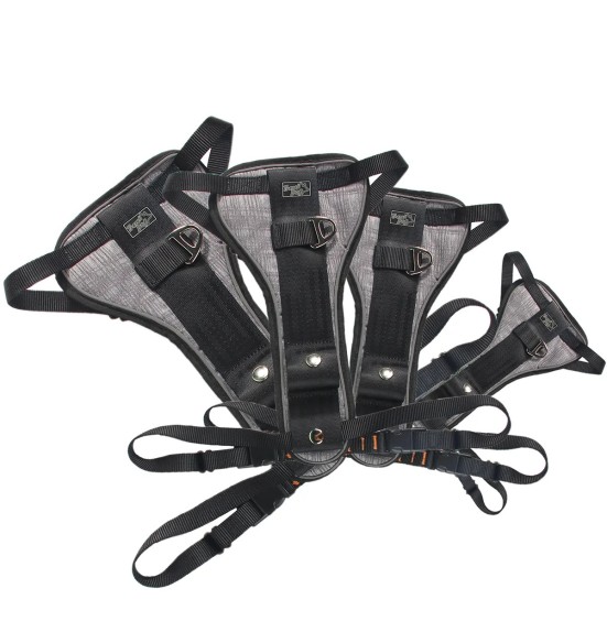 Turvatraksid koerale autosse