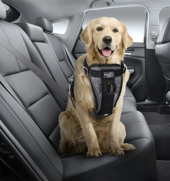 Turvatraksid autosse ja tirimisvastased traksid jalutamiseks (AFP - Travel Dog)