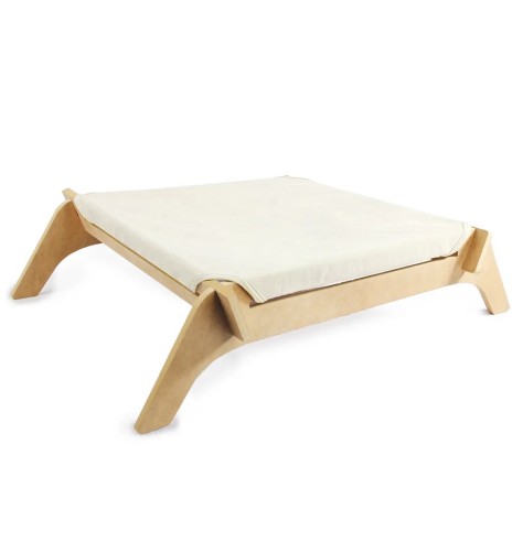 Kassipesa lamamisase Cat Lounge (AFP - Classic...