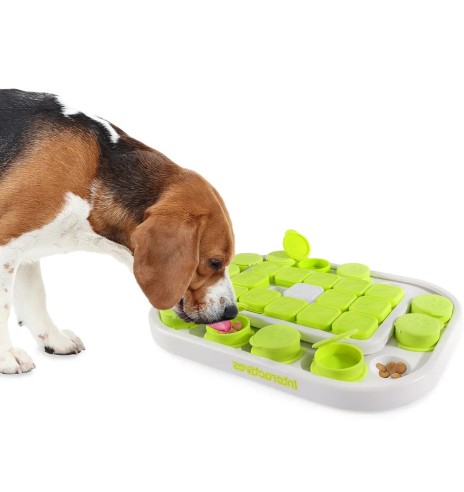 Arendav mänguasi koerale Dog Sudoku Puzzle (AFP - Interactives)