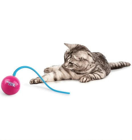 Kassi mänguasi interaktiivne pall cat toy